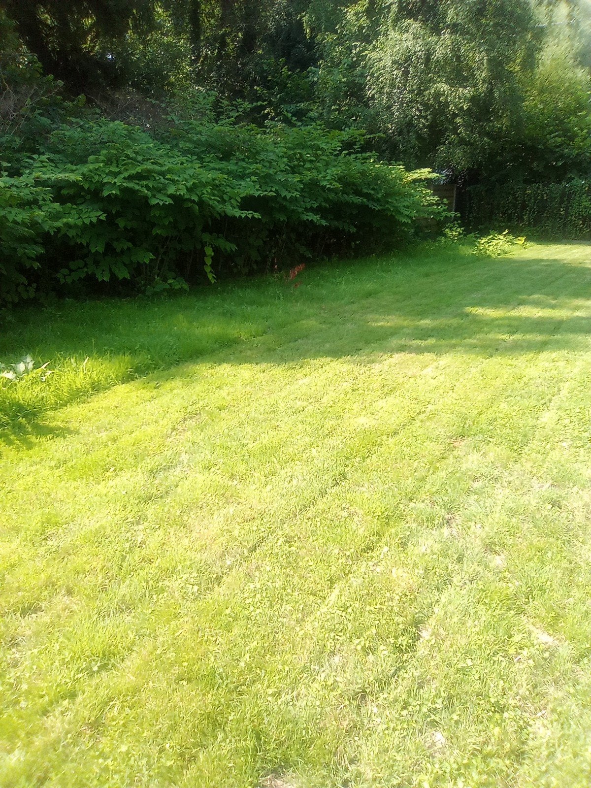 Tuinman, Tuin en Terras, Gras en Kunstgras, Ophalen, Gras