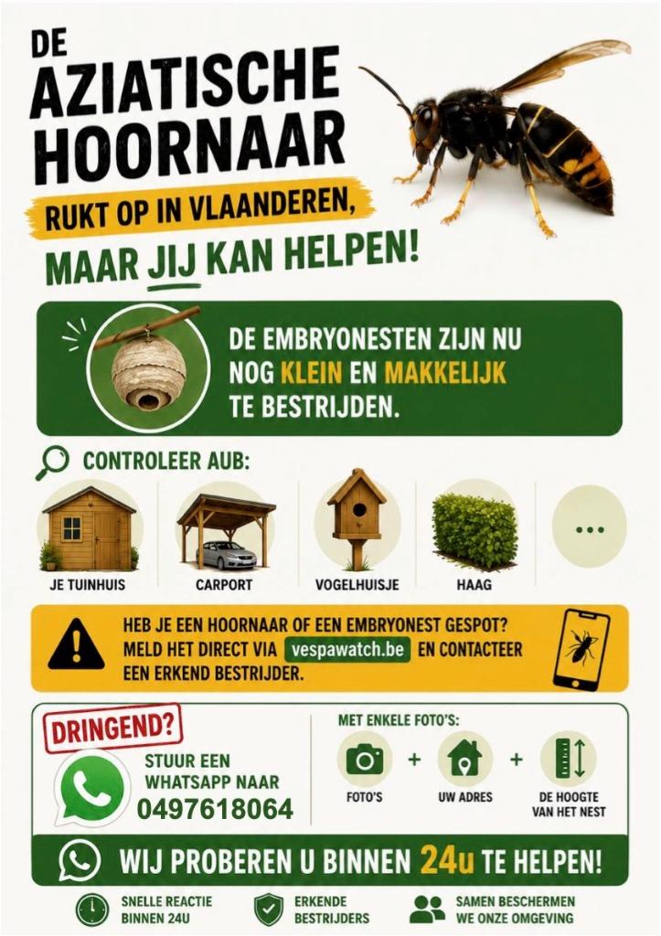 Hoornaar verwijderaar, Dieren en Toebehoren, Insecten en Spinnen, Overige soorten