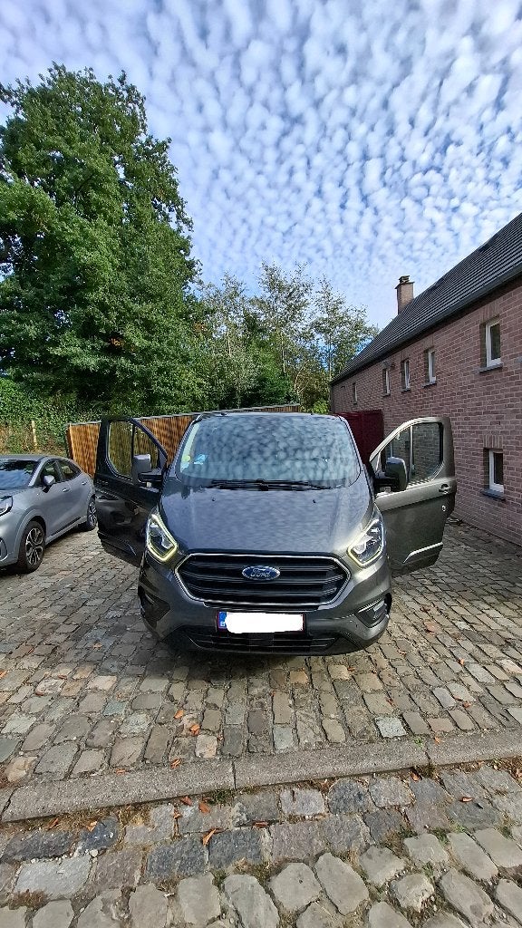 Ford Transit Custom, Autos, 2247 kg, 186 g/km, Achat, 6 portes