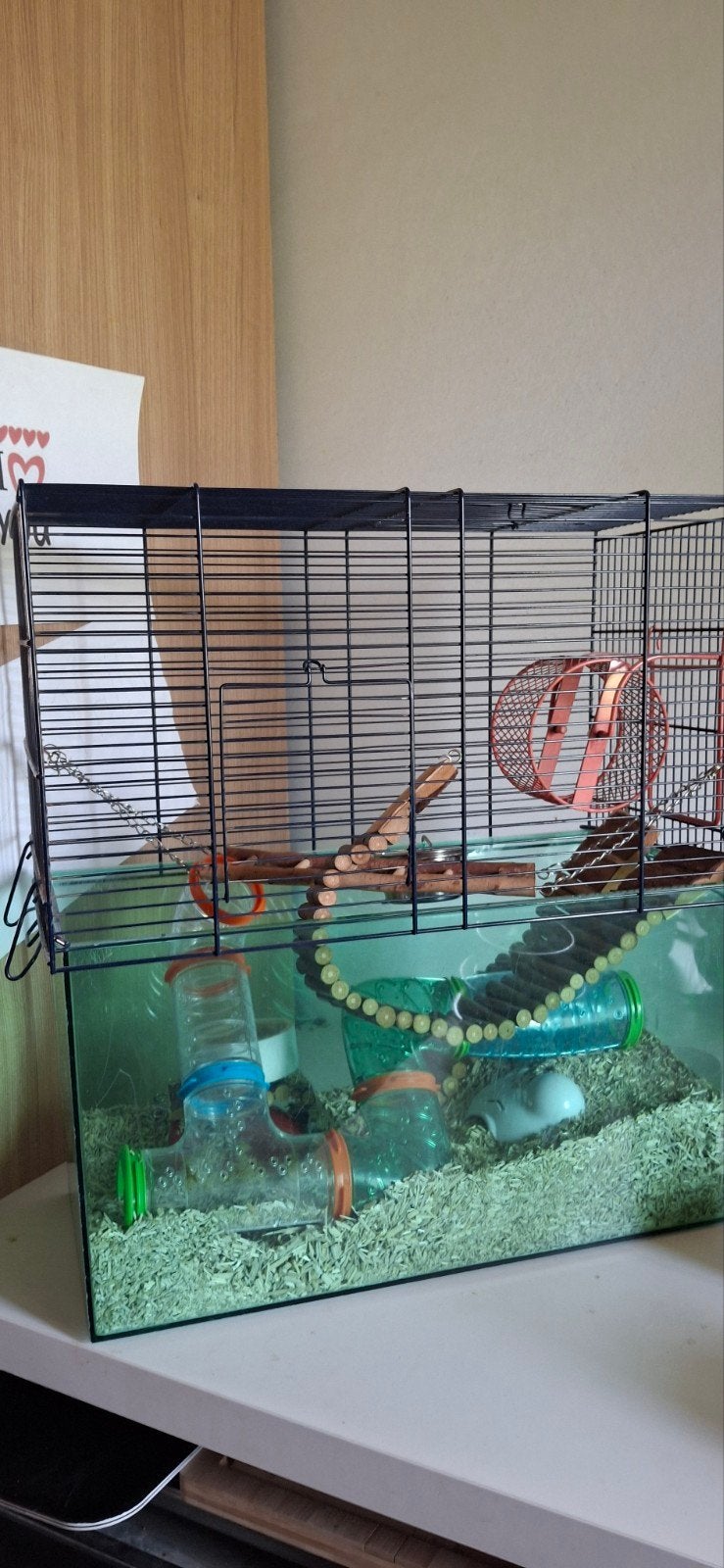 Hamster kooi met graafgedeelte, Animaux & Accessoires, Rongeurs & Lapins | Cages & Clapiers, Cage, Hamster, Enlèvement