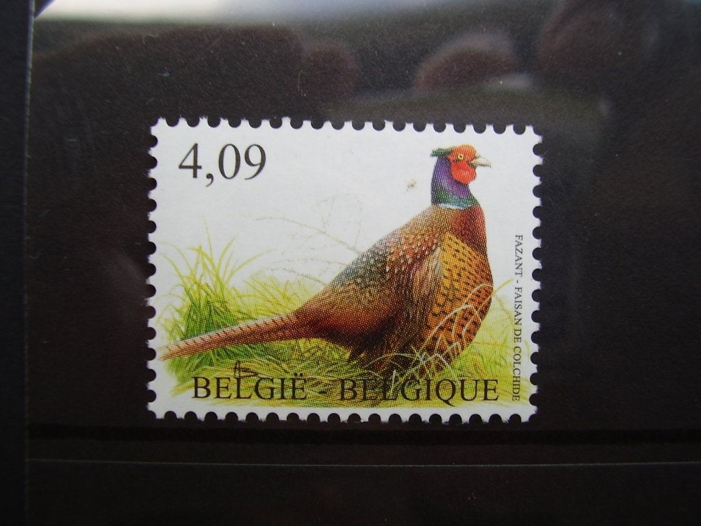 4046 postfris - Fazant, Ophalen of Verzenden, Postfris