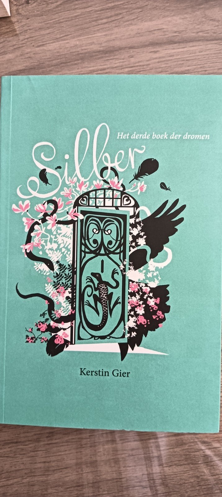 Kerstin Gier - Silber, Boeken, Ophalen, Kerstin Gier