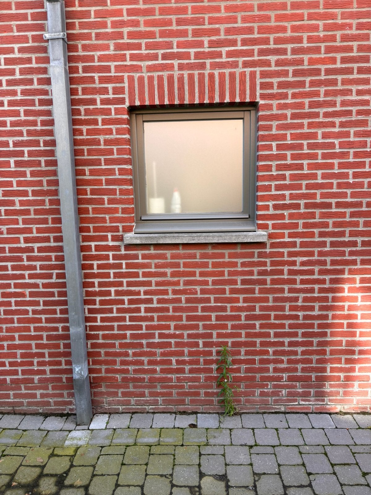 Ramen en deuren, Enlèvement, Utilisé, Fenêtre de façade ou Vitre, Double vitrage