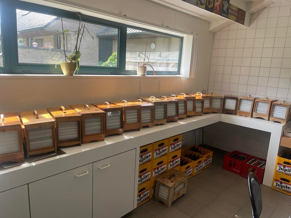 Vinken kooien te koop, Enlèvement