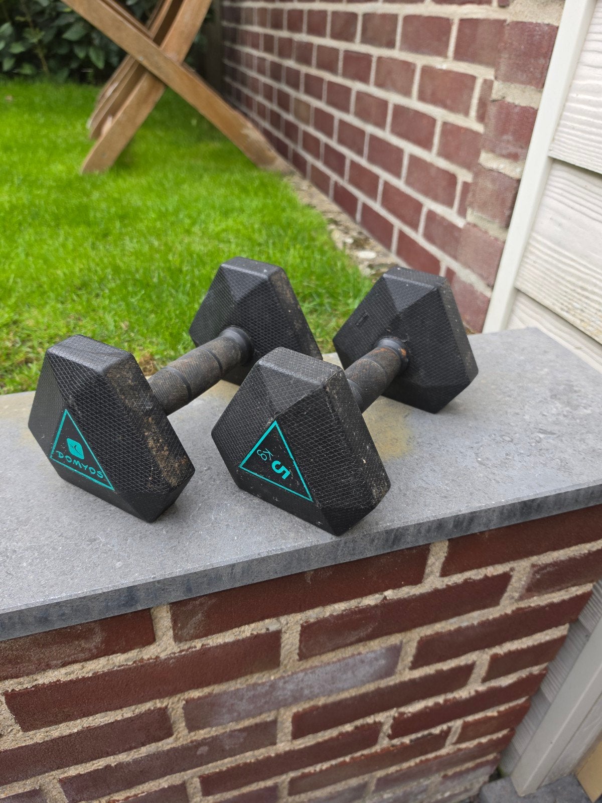 Halters 5kg, Sport en Fitness, Ophalen