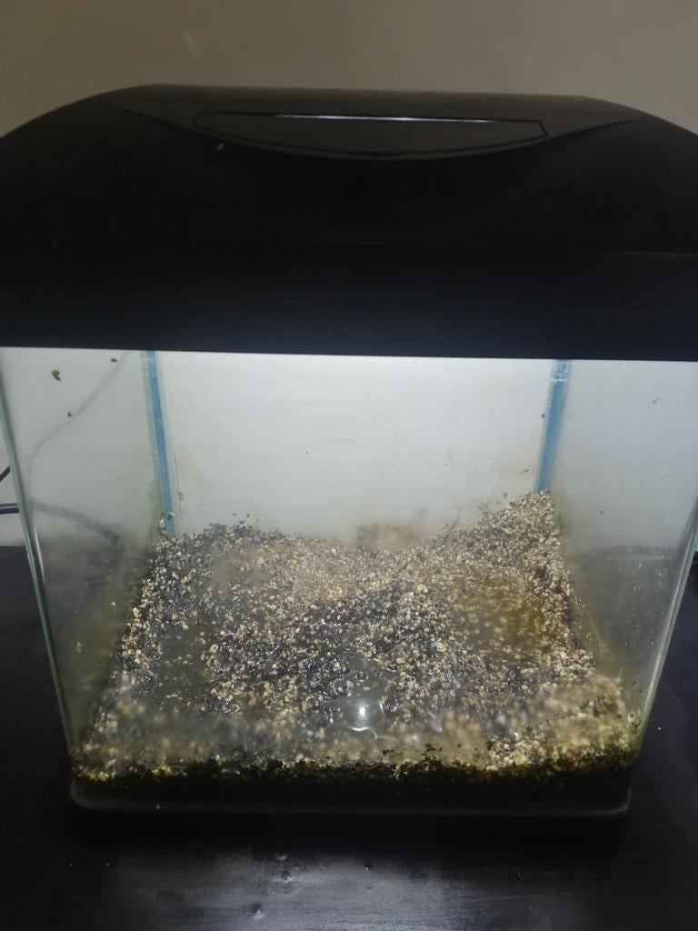 Aquarium 30 litres, Enlèvement