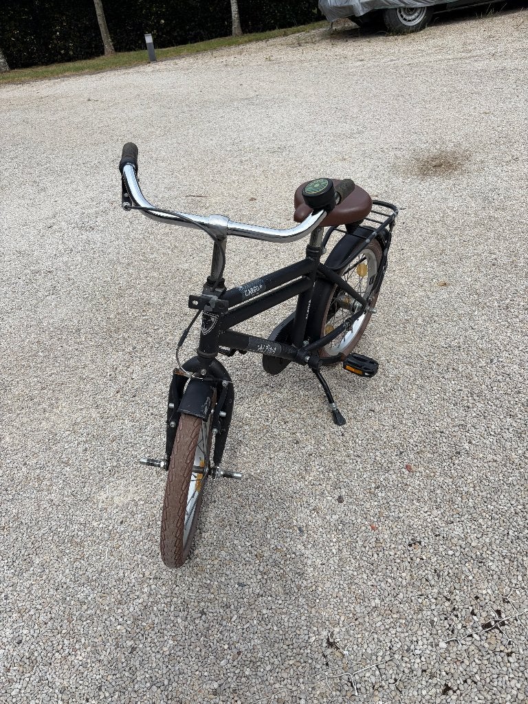 Vélo pour enfants de 16 po, Frein sur jante, Alpina, 16 à 20 pouces, Enlèvement