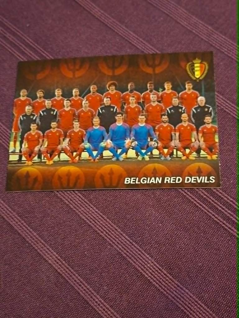 Panini / Voetbalkaart / Belgian Red Devils, Verzamelen, Ophalen of Verzenden, Zo goed als nieuw, Poster, Plaatje of Sticker