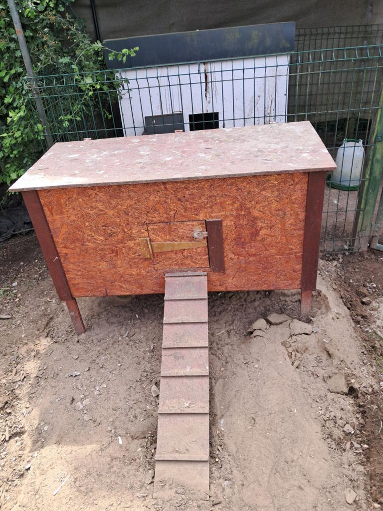 Kippenhok in osb behandeld goede staat, Enlèvement