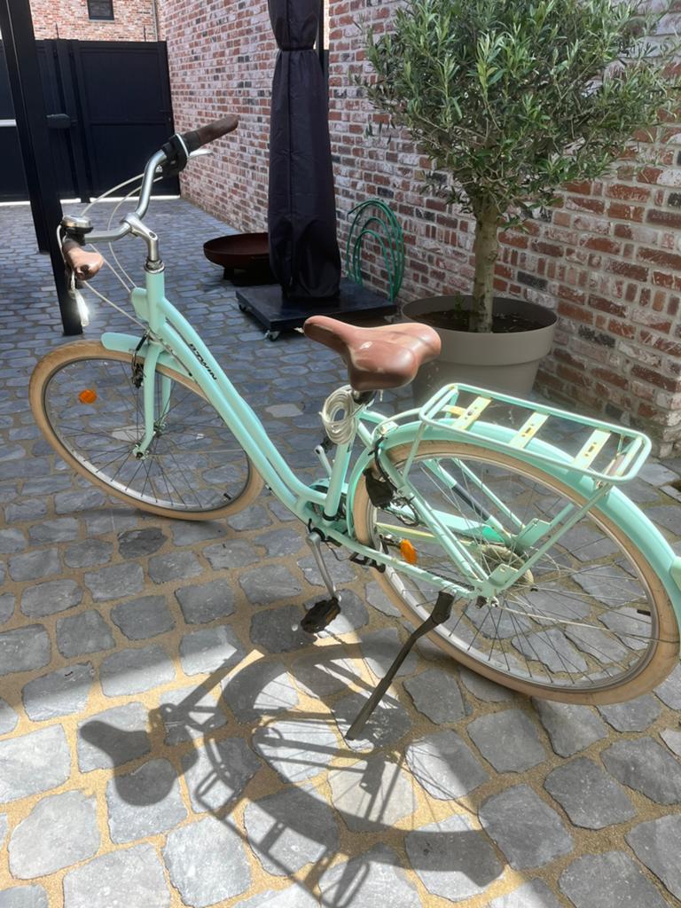 Damesfiets, Enlèvement, Utilisé