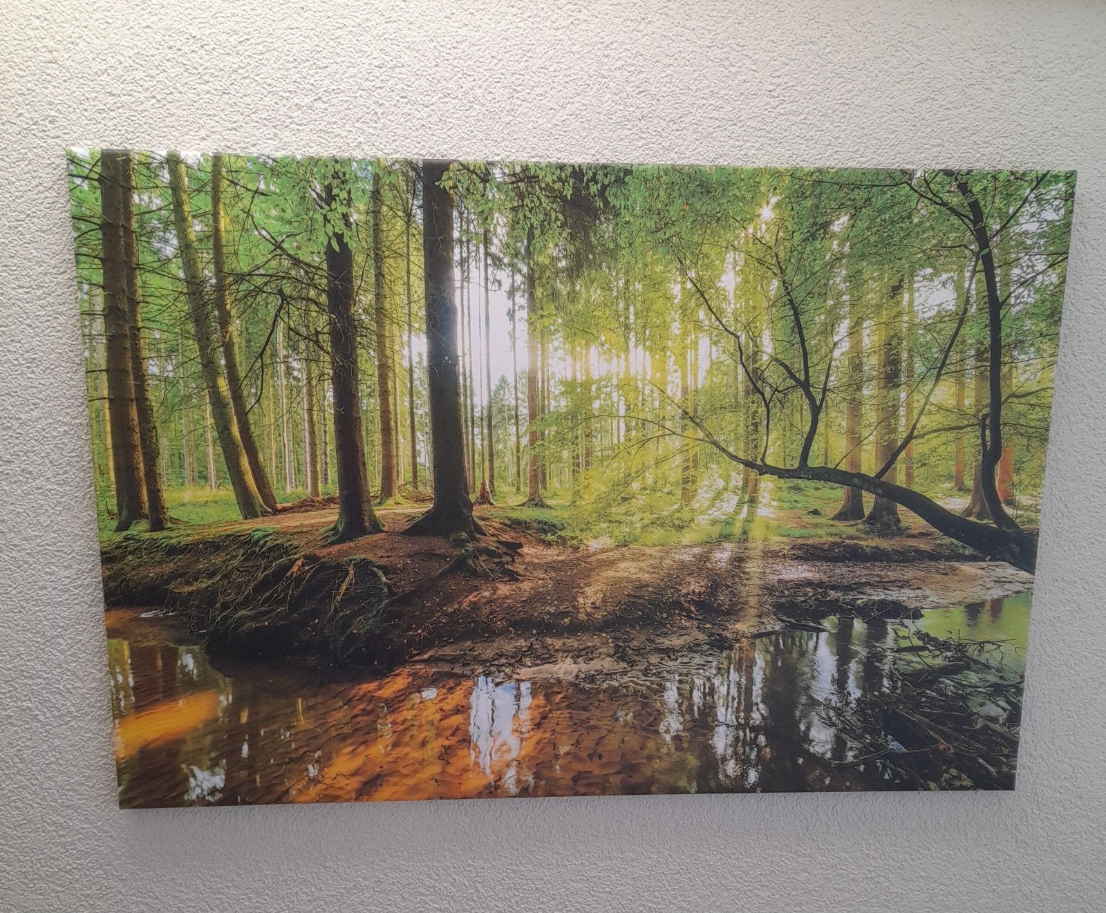Canvas, Huis en Inrichting, Ophalen
