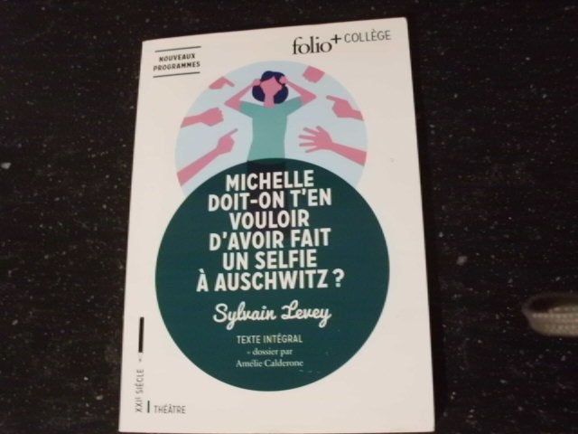 Michelle, moeten we het je kwalijk nemen dat je een selfie ?, Ophalen of Verzenden, Zo goed als nieuw, Sylvain levey