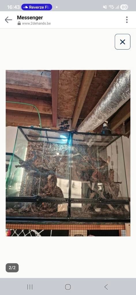 3x terrarium (top staat), Dieren en Toebehoren, Ophalen of Verzenden