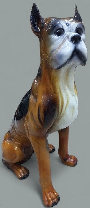 grote vintage boxer hond, Ophalen