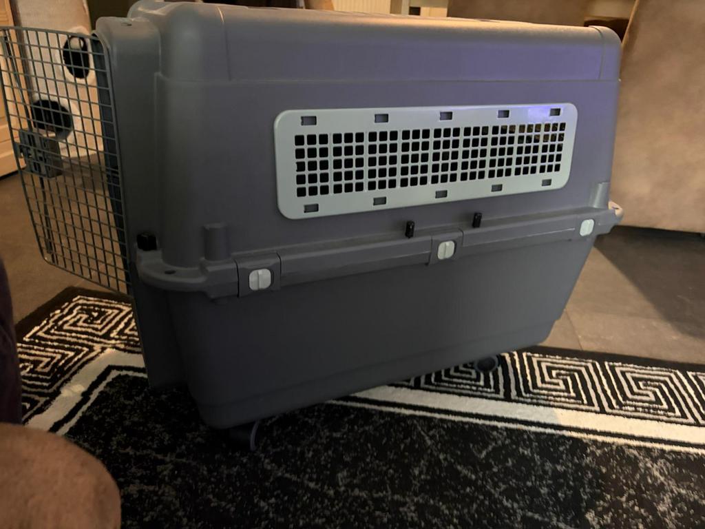 Transport box voor honden of katten, Dieren en Toebehoren, Ophalen, Zo goed als nieuw