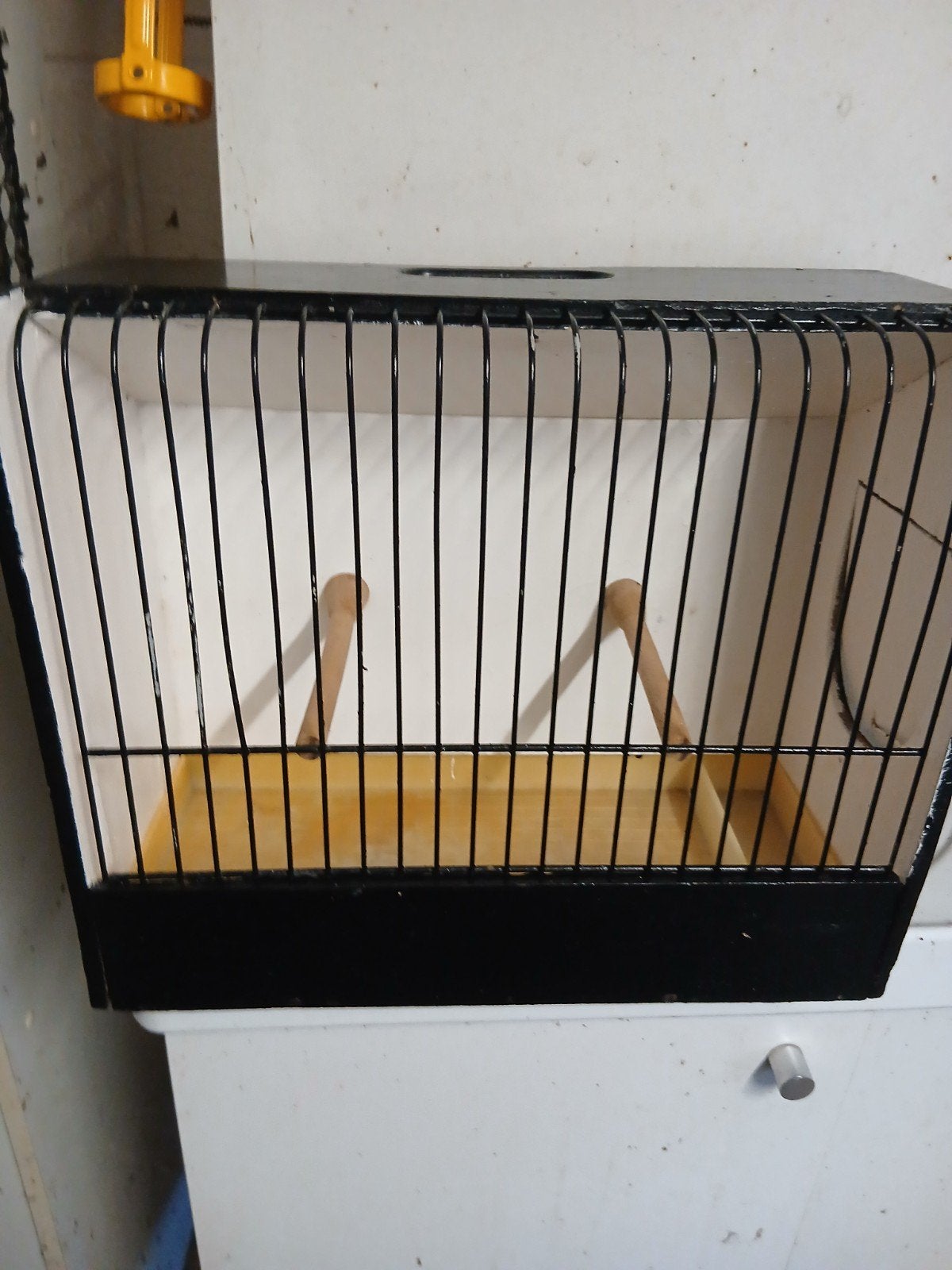 cage, Enlèvement