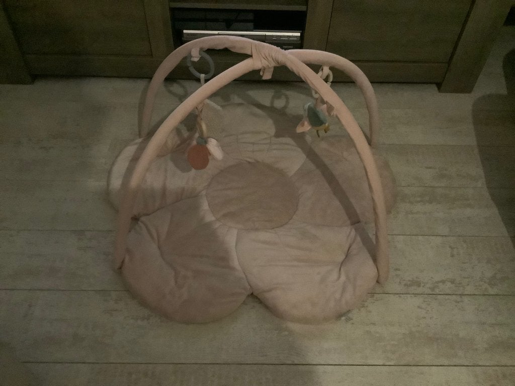 Little Dutch roze babygym, Kinderen en Baby's, Ophalen of Verzenden, Gebruikt, Babygym