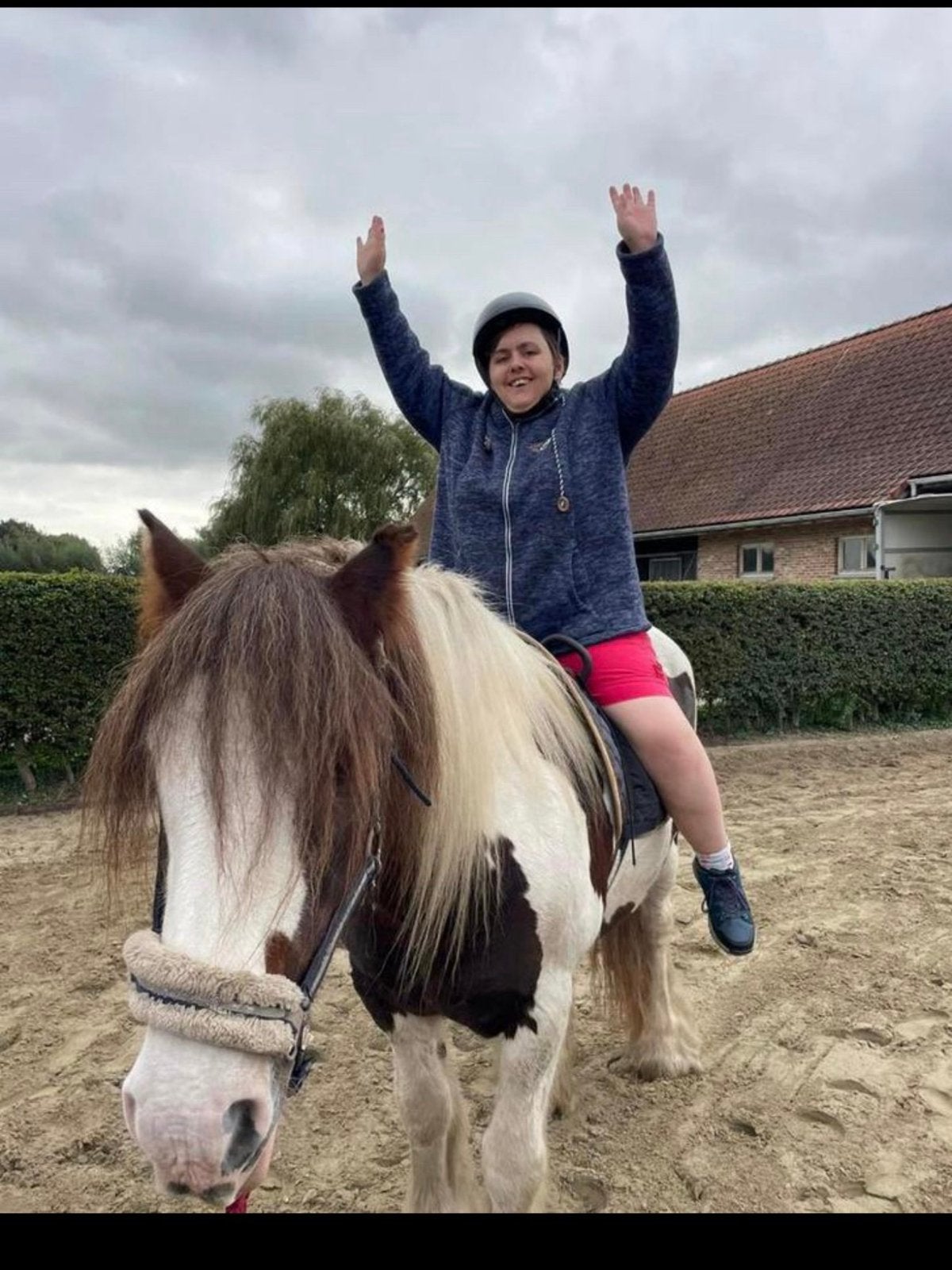Hoog opgeleid therapie paard/wandelpaard, Dieren en Toebehoren, Merrie