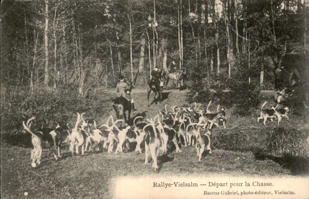 Vielsalm - la Chasse, Collections, Enlèvement ou Envoi, Affranchie