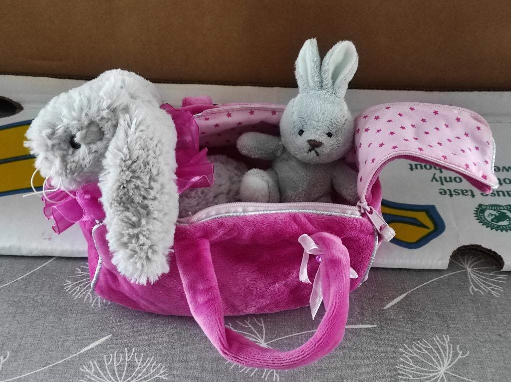 knuffel konijntjes in draagbare tas, Enfants & Bébés, Jouets | Peluches, Enlèvement ou Envoi, Utilisé, Lapin