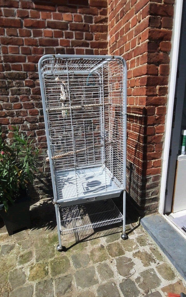 Grande cage à oiseaux pour grandes perruches ou petits perro, Animaux & Accessoires, Oiseaux | Cages & Volières, Enlèvement, Comme neuf