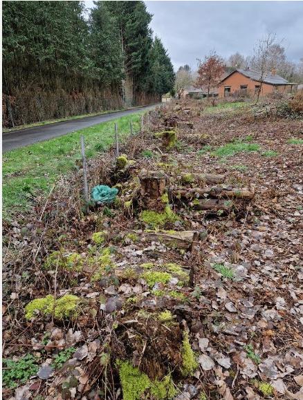 bois de chauffage, Ophalen, Gebruikt