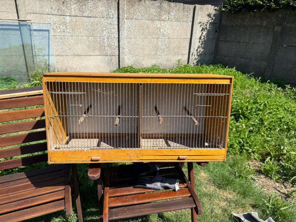 Vintage houten vogelkooi 2 vogels, uitneembare tussenwand, Ophalen, Gebruikt, Hout, Vogelkooi