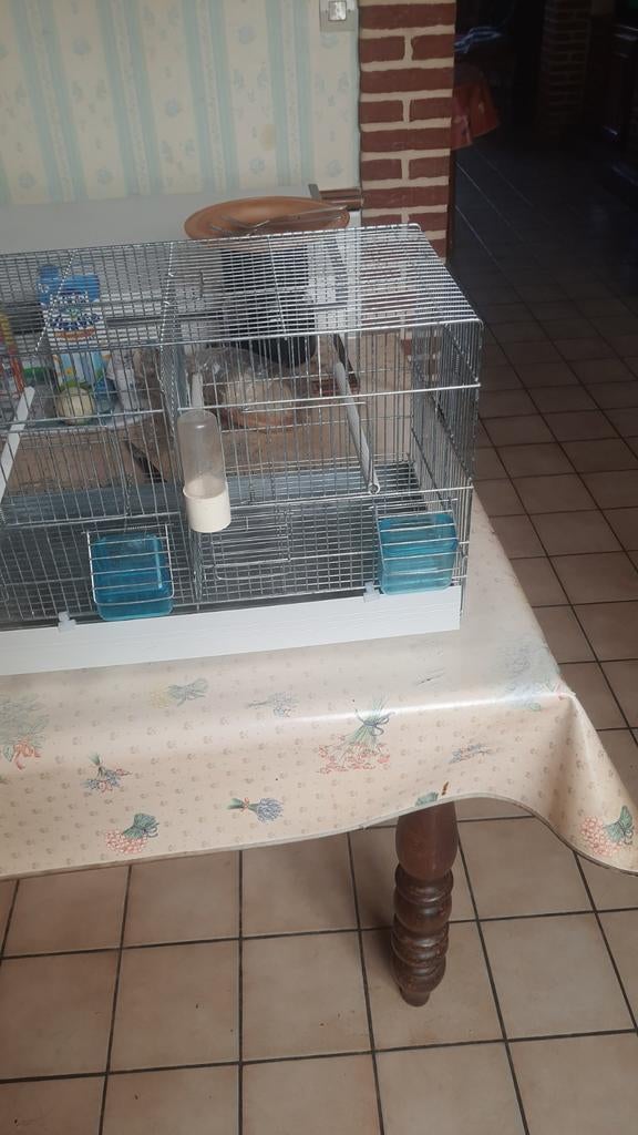 Cage elevage de 55cm, Enlèvement