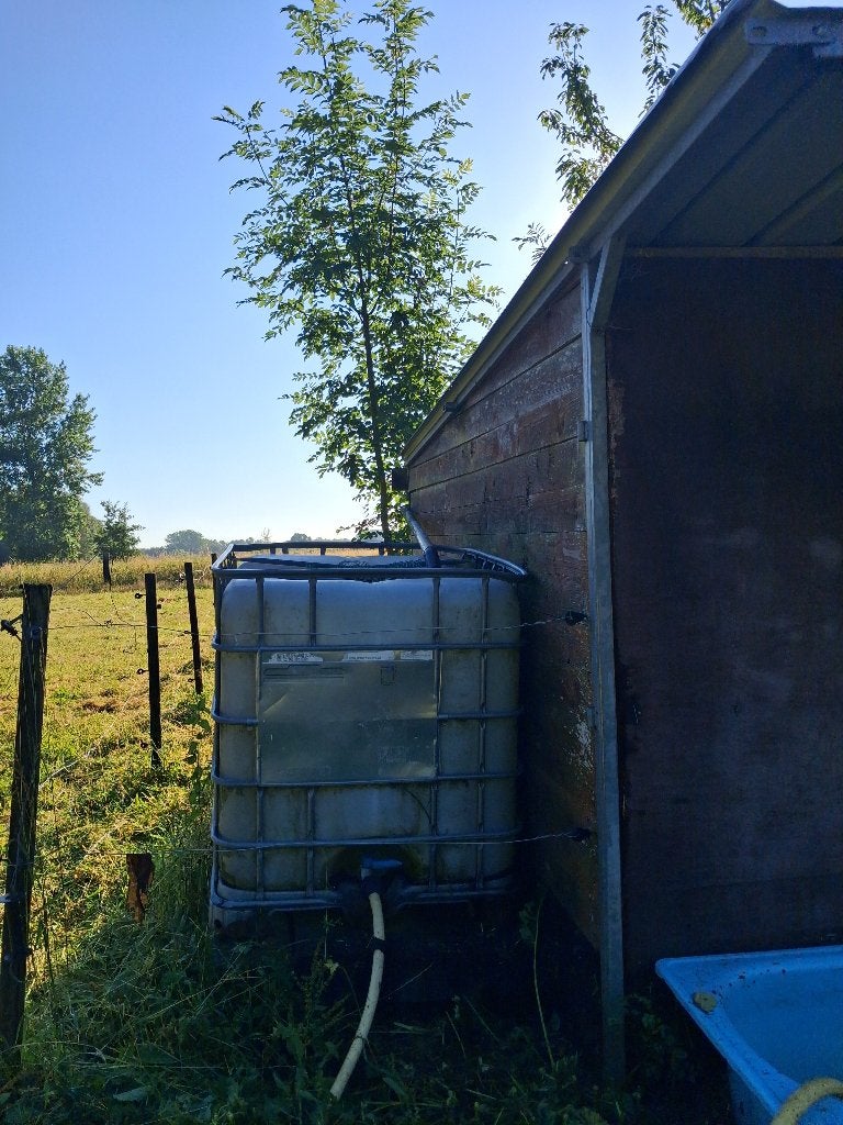 Goed afgemaakte weide met ruim schuilhok te koop, Dieren en Toebehoren, Weidegang, 2 of 3 paarden of pony's
