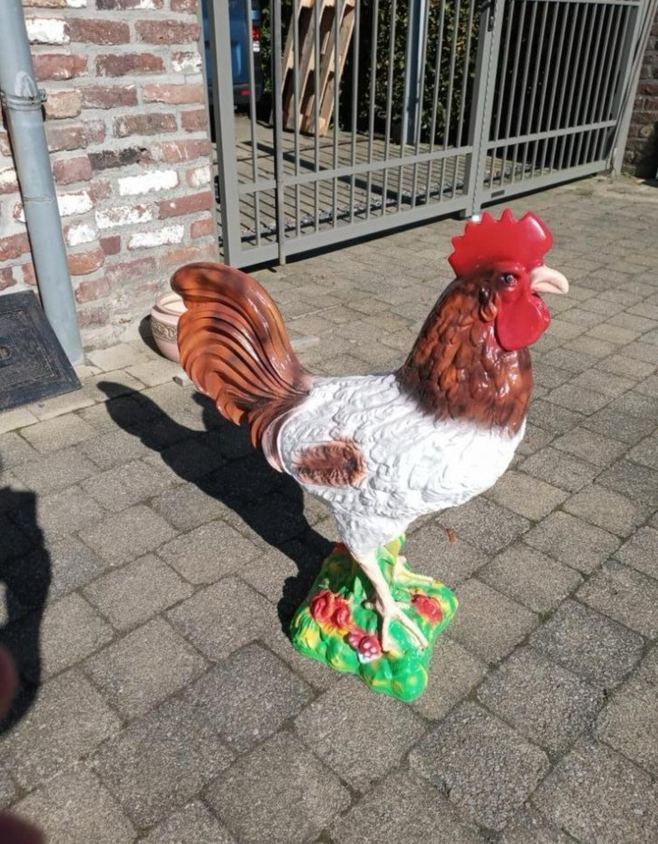 Haan beeld