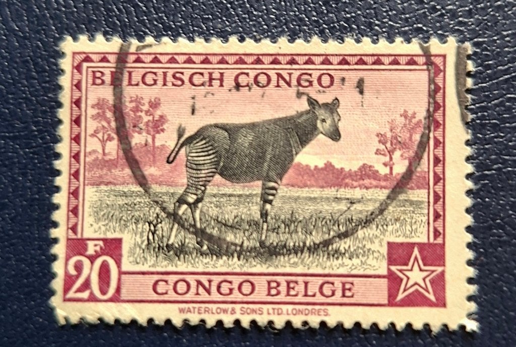 Timbre OBP 246 du Congo belge, Enlèvement ou Envoi, Affranchi, Timbre-poste, Autre