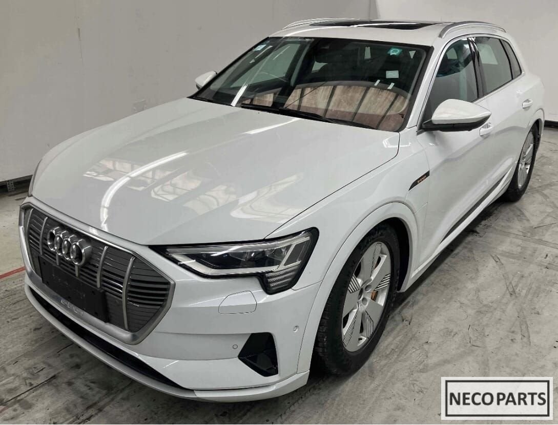AUDI E TRON ETRON PORTIER DEUR KLEUR LS9R ALLES LEVERBAAR !!, Gebruikt, -, Achter, -