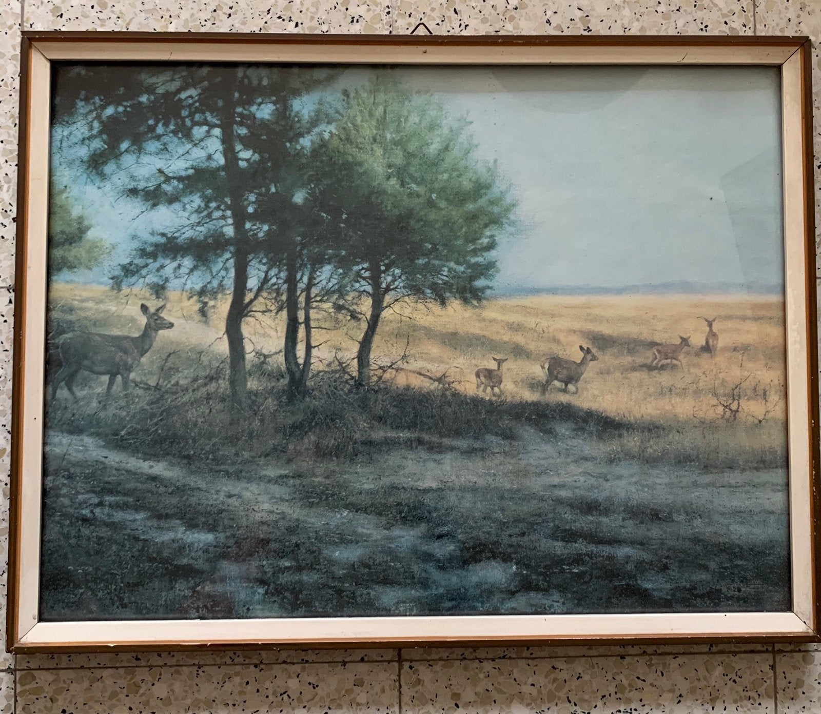 Cadre vintage avec une photo de cerf, Antiquités & Art, Art | Peinture | Classique, Enlèvement ou Envoi, Vintage