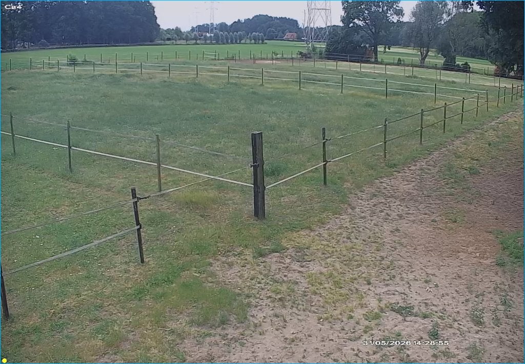 3 stallen + weides eigen beheer Zoersel, Dieren en Toebehoren, Stalling en Weidegang, Stalling, Weidegang, 2 of 3 paarden of pony's