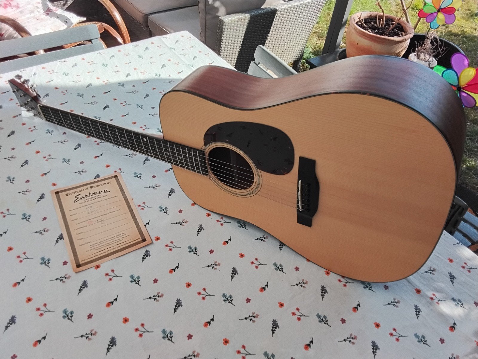 Eastman E1D (all solid), Musique & Instruments, Enlèvement
