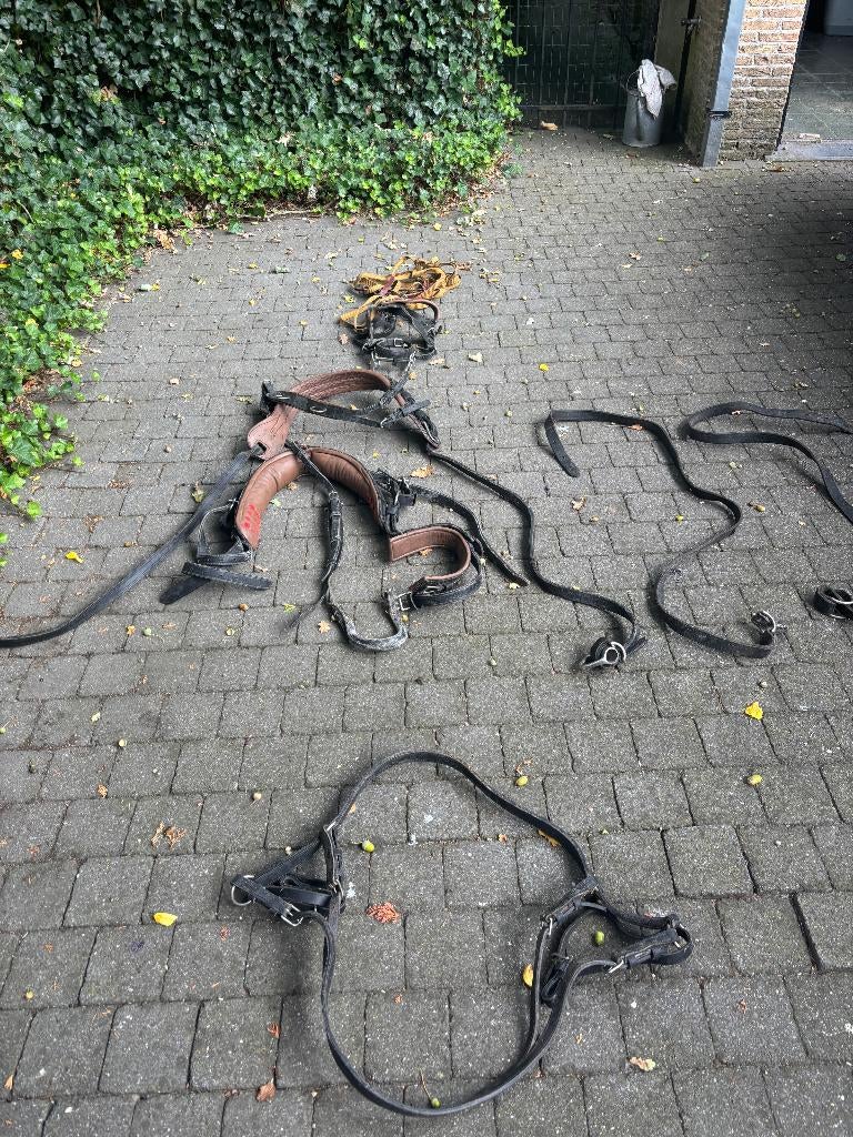 Pony Mentuig, Dieren en Toebehoren, Ophalen, Gebruikt, Overige soorten