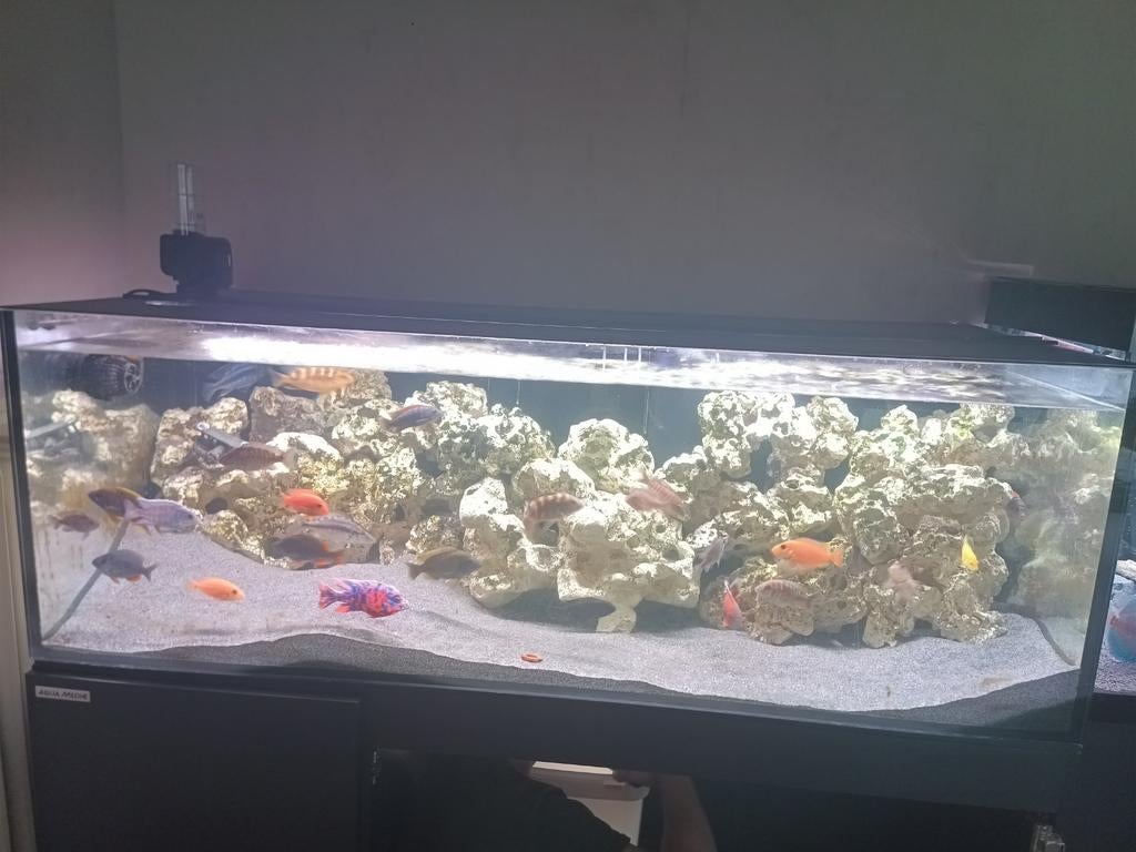 acuariums 150 CM, Dieren en Toebehoren, Vissen | Aquaria en Toebehoren, Ophalen of Verzenden, Zo goed als nieuw