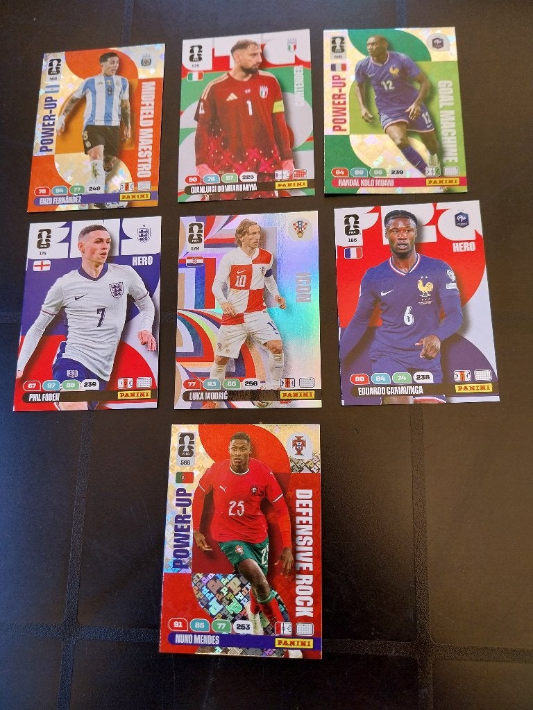 Carte panini, Enlèvement ou Envoi, Comme neuf, Autocollants et Photos