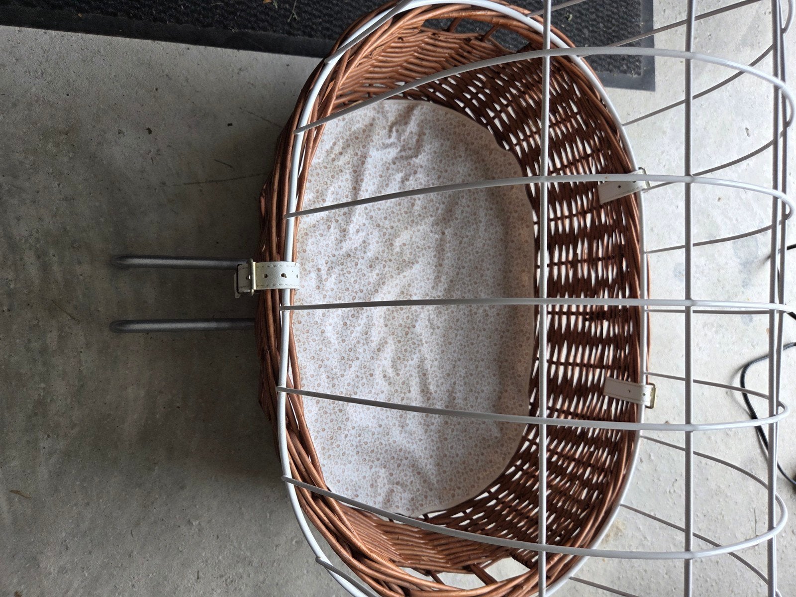 Hondenfietsmand Aumüller Rotan, Animaux & Accessoires, Paniers pour chiens, Enlèvement, Comme neuf, Autre