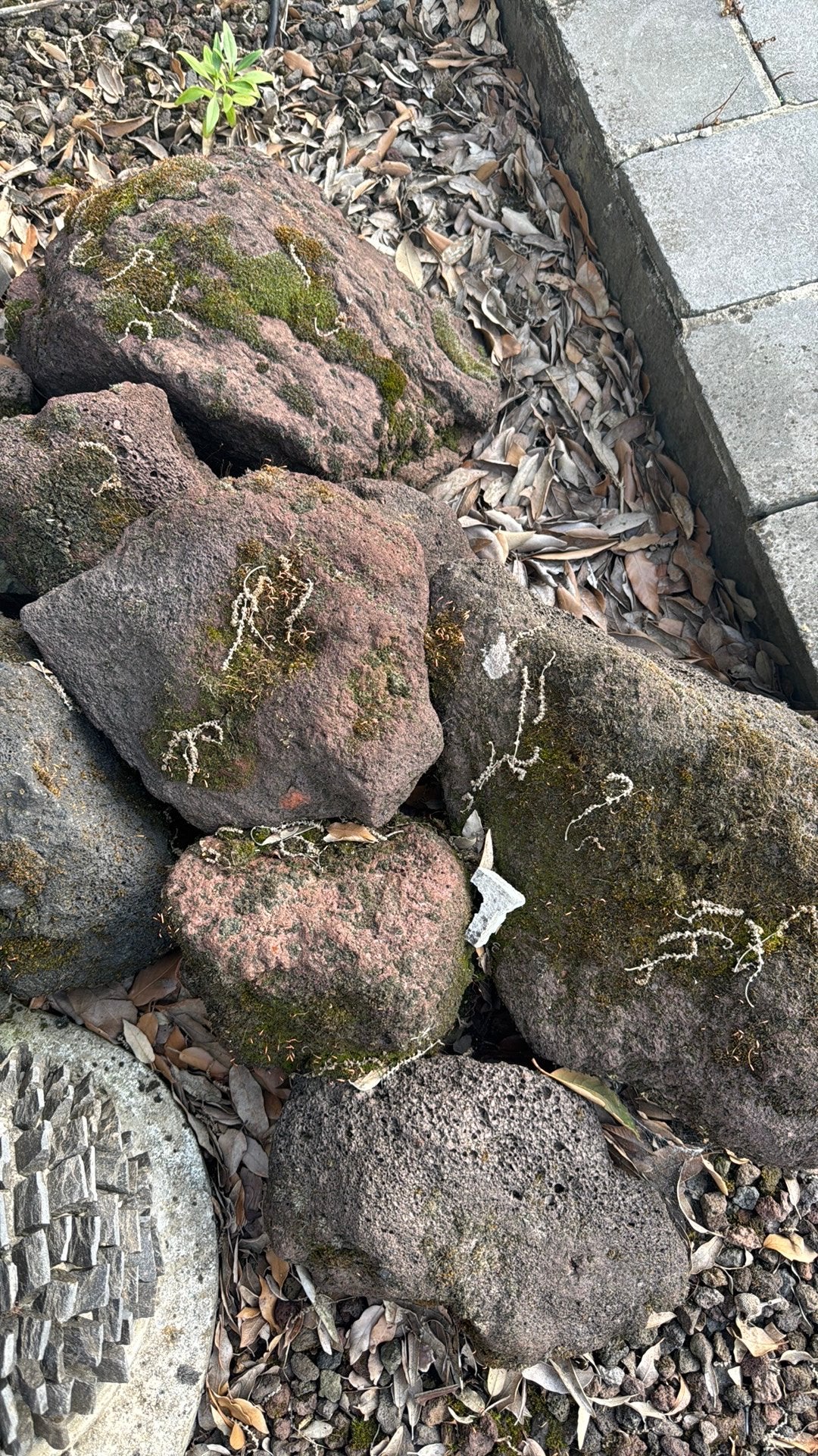 Lava stenen, Tuin en Terras, Grind, Keien en Split, Gebruikt, Bruin, Overige typen, Ophalen of Verzenden
