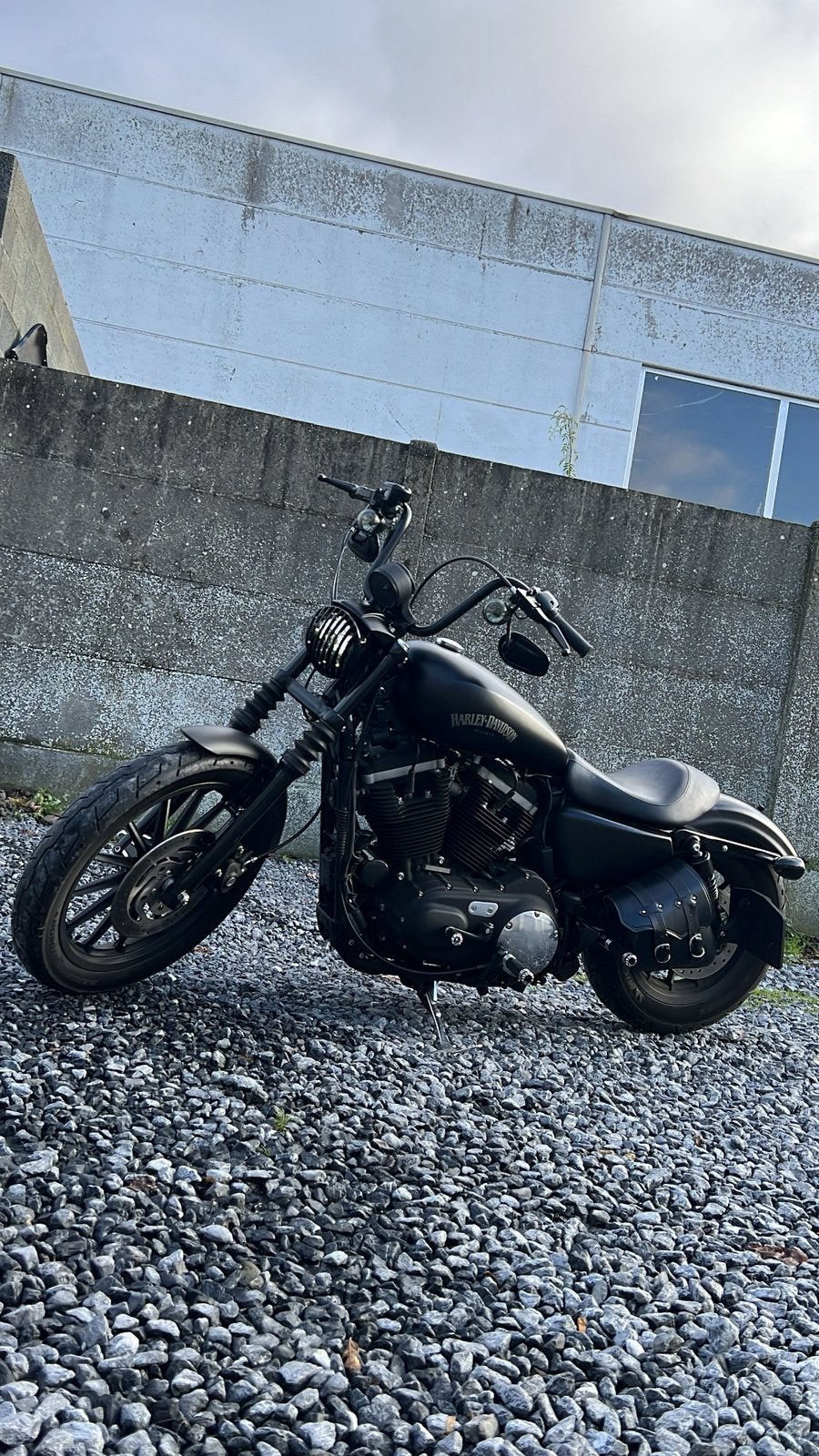 Harley Davidson Iron 833, Motoren, Occasion, 883 cc, Particulier, Meer dan 35 kW