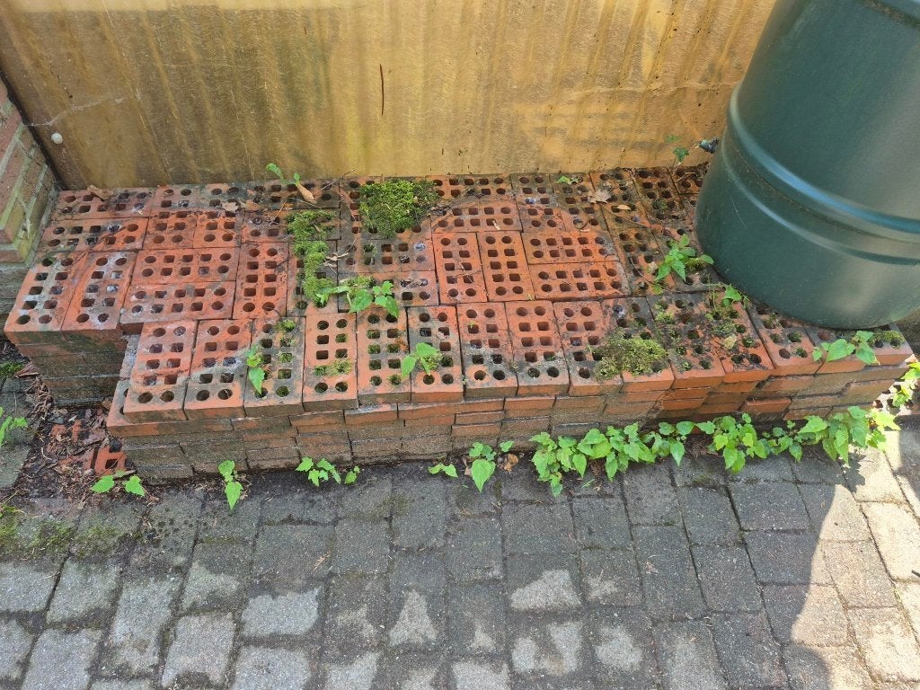 Bakstenen - GRATIS, Doe-het-zelf en Bouw, Ophalen, Gebruikt, Bakstenen