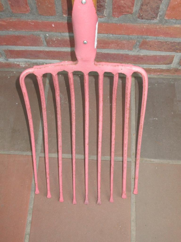 pommes de terre, Enlèvement