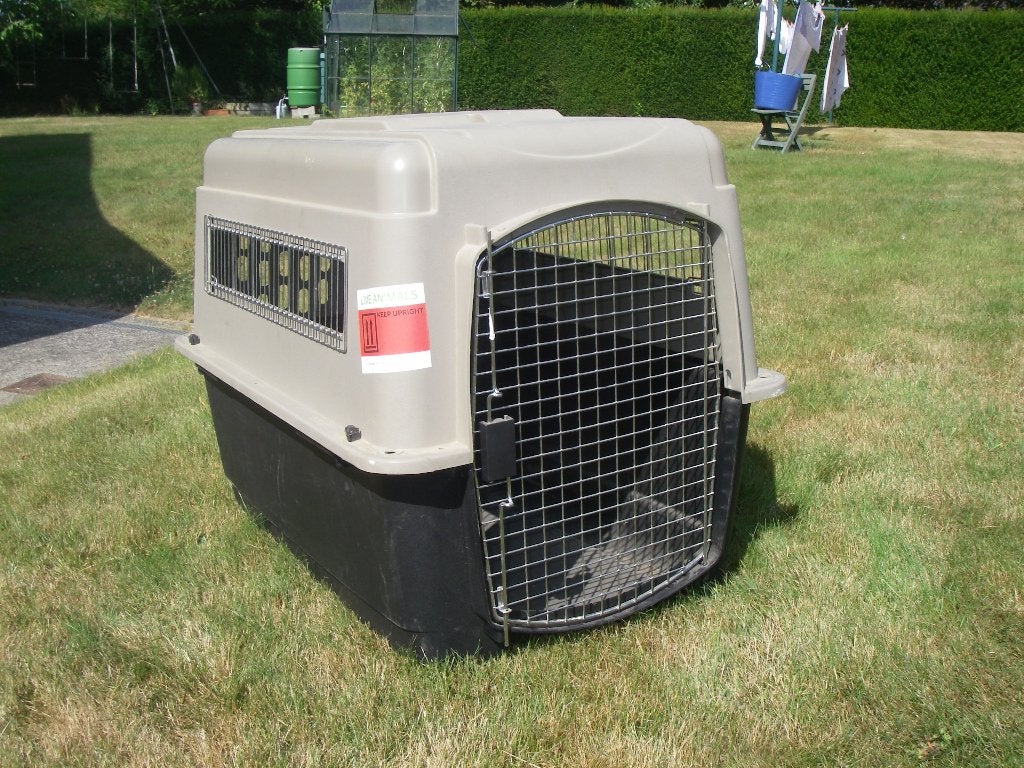 Cage pour transport de chien à vendre, Animaux & Accessoires, Enlèvement, Chien