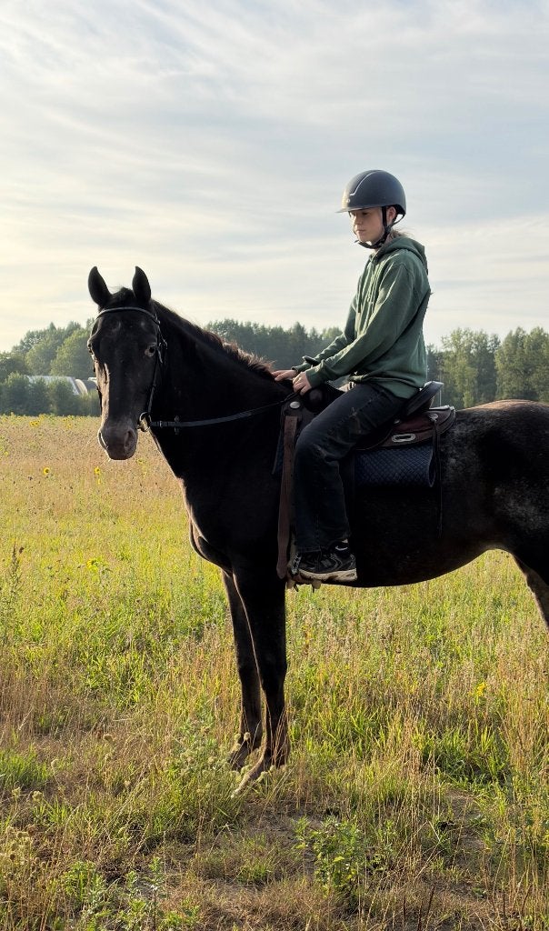 Betrouwbare Appaloosa merrie, Merrie, Minder dan 160 cm, Zadelmak, Recreatiepaard