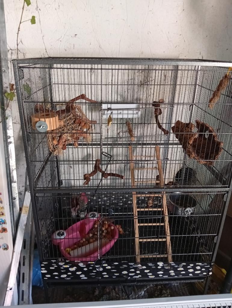 Vogelkooi groot, Dieren en Toebehoren, Ophalen, Zo goed als nieuw, Aluminium, Vogelkooi