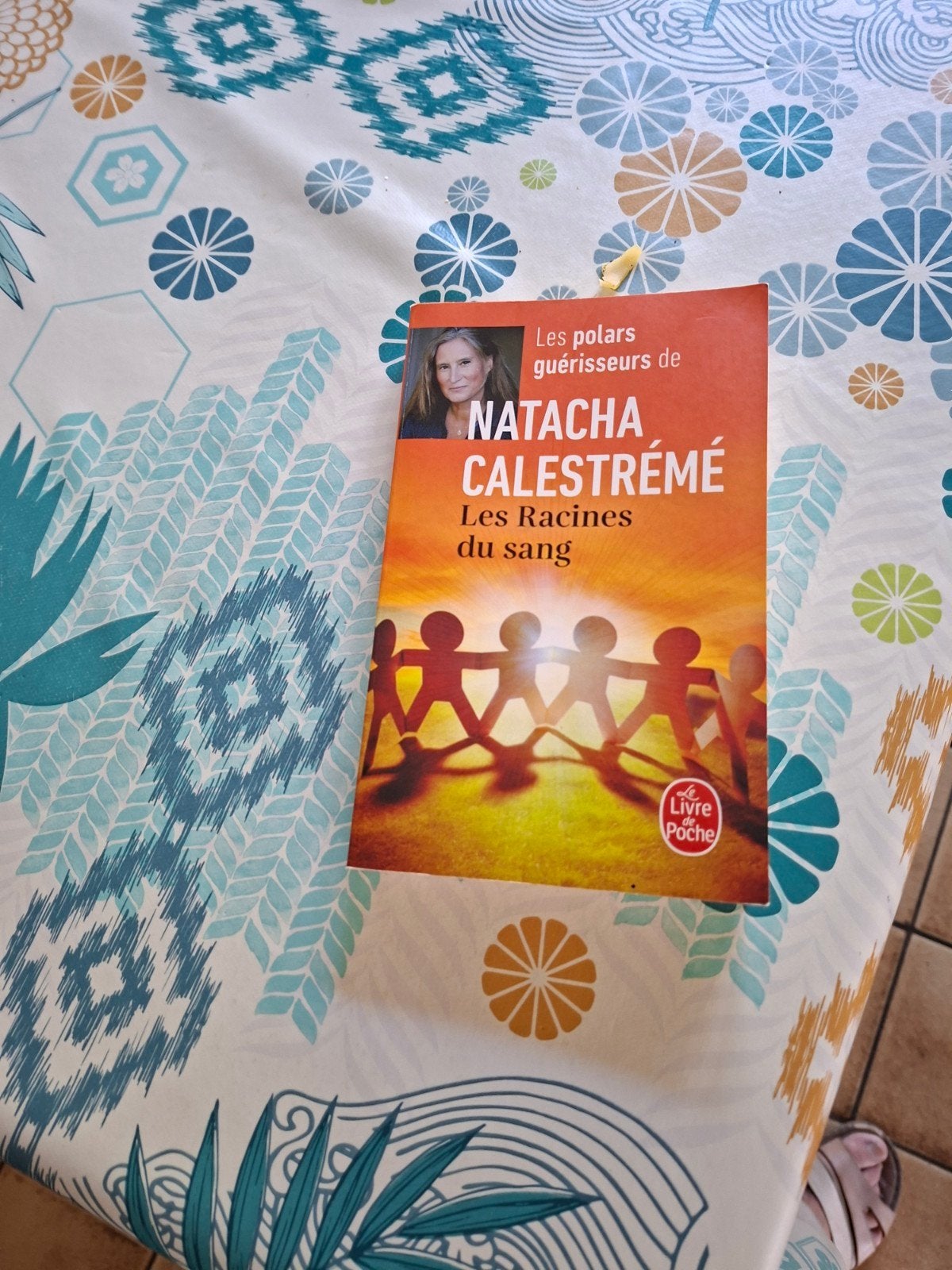 Natacha Calestrémé. Les Racines du sang., Boeken, Detectives, Ophalen of Verzenden