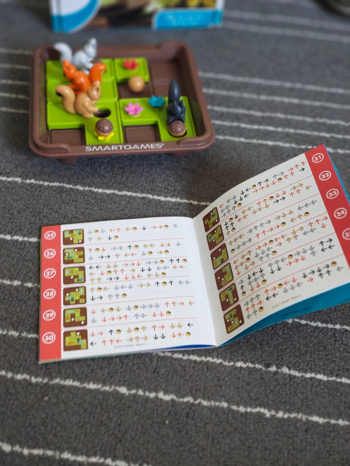 smart games, Enlèvement