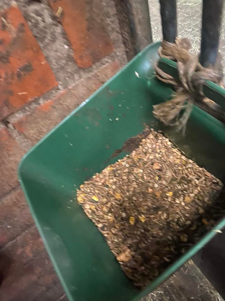 Twee hang voerbakken, Ophalen, Gebruikt, Overige soorten