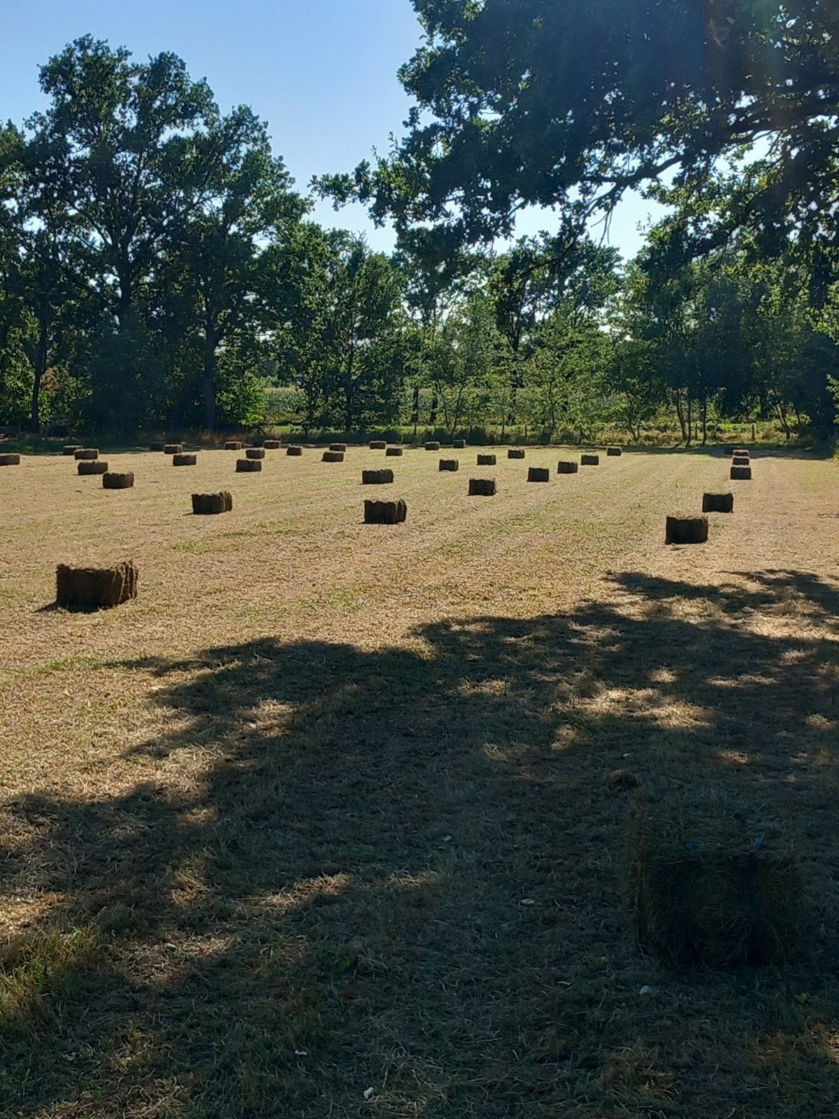 kleine balen hooi, Enlèvement